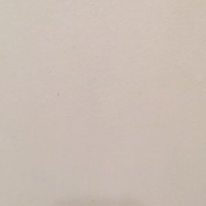 Meet your Posher, Gabriela